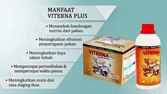 Jual Vitamin Penggemuk Ternak  Unggas  di 
Kuala Kurun 0857 9711 6827 