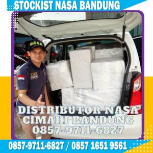  Distributor Resmi  Nasa di Yogyakarta 085797116827
