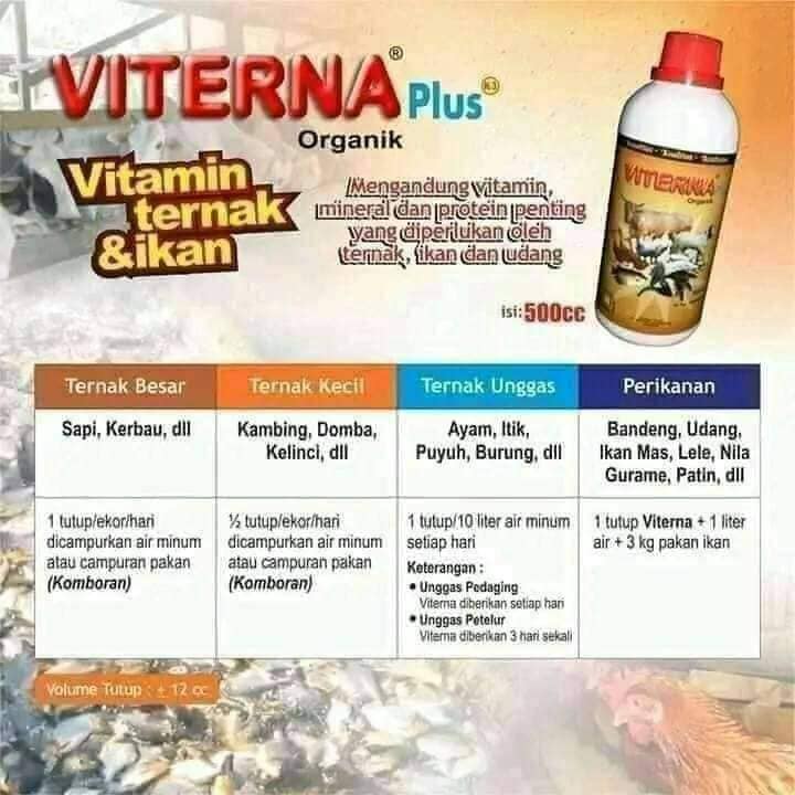 Grosir  Vitamin Ternak Viterna di Tigaraksa 0857 9711 6827