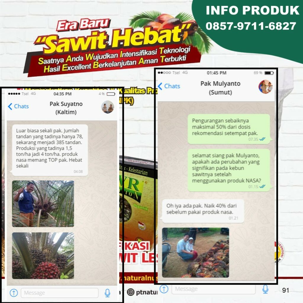  0857-9711-6827 |  Distributor  dan Jual Pupuk Organik Nasa Buah Sawit di 
Hamdan, Medan Maimun, Medan 