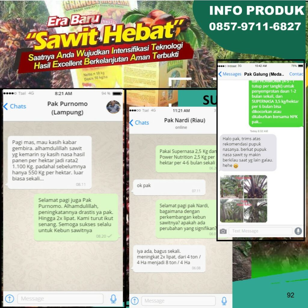  0857-9711-6827 |  Distributor  dan Jual Pupuk Organik Nasa Buah Sawit di 
Hamdan, Medan Maimun, Medan 
