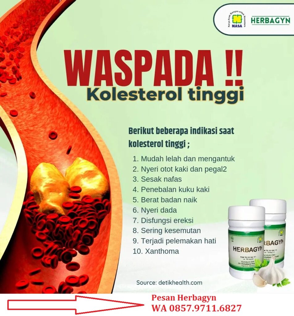 Jual Obat Herbal Penurun Kolesterol Alami Cepat di 
Sampit