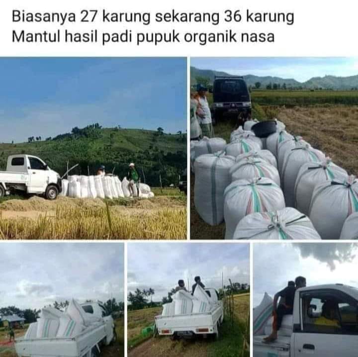 Telp/WA 0857.9711.6827 Produk  Pupuk Organik Granule Nasa di 
Pematangsiantar