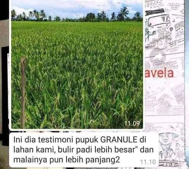 Telp/WA 0857.9711.6827 Grosir  Pupuk Organik Granule Nasa di 
Tumbang Titi