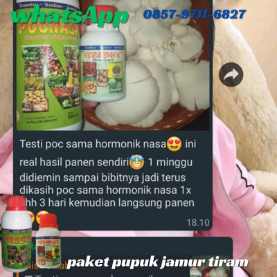 WA 0857 9711 6827 Paket Pupuk Untuk Jamur Tiram di Pemalang