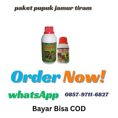 WA 0857 9711 6827 Paket Pupuk Untuk Jamur Tiram di Nganjuk