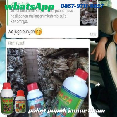 Agen Nasa Jual Pupuk Perangsang Pertumbuhan Jamur Tiram di Karanganyar