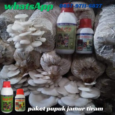 Agen Nasa Jual Pupuk Organik Jamur Tiram di Cileungsi