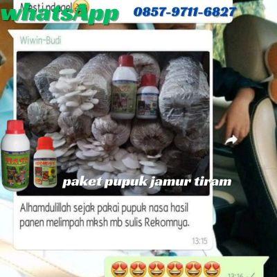 WA 0857 9711 6827 Jual Pupuk Jamur Tiram Poc Nasa di Kepanjen