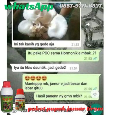 Agen Nasa Jual Pupuk Organik Cair Untuk Jamur Tiram di Tulungagung