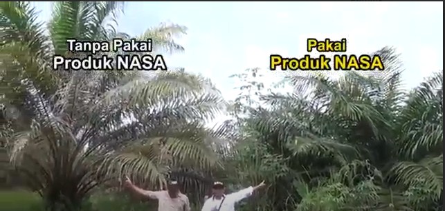  Pemenang Thender Pupuk Organik  Cair Nasa di Serang