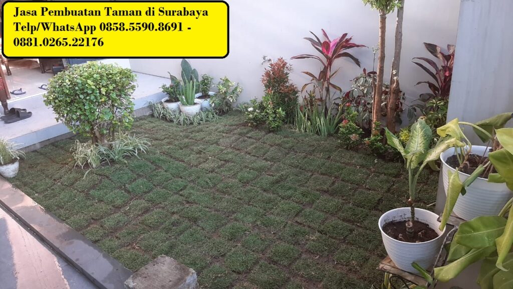 Sewa tanaman kantor Surabaya - 0858-5590-8691